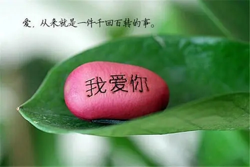 爱情祝福语祝福别人