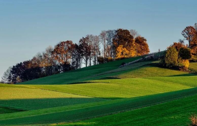 又狠又霸气的文案