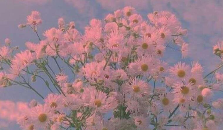 心累生活压力大的说说文案