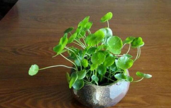 儿时到中年的句子文案经典语录