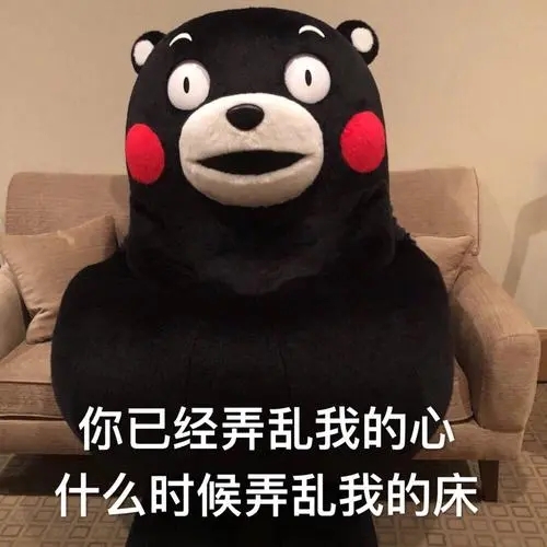 关于小熊的情话文案