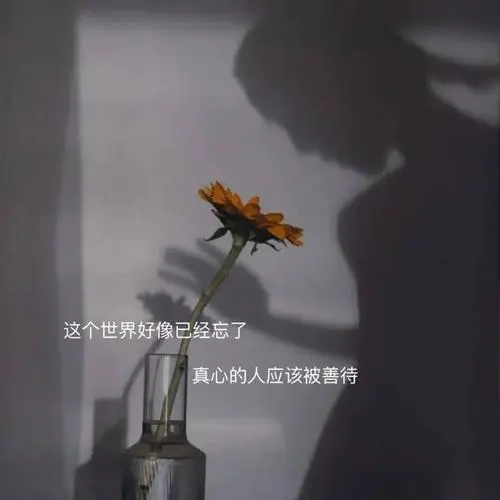 形容人简单干净的句子文案