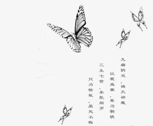 描写蝴蝶的诗句文案