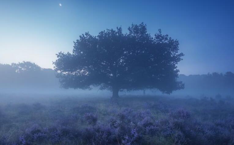 从夏天一下到冬天说说文案