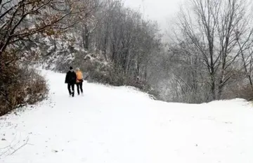 描写雪的优美句子文案摘抄大全