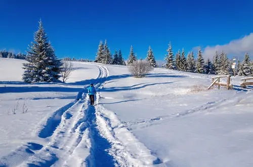 描写冬天景色的好词好句文案摘抄