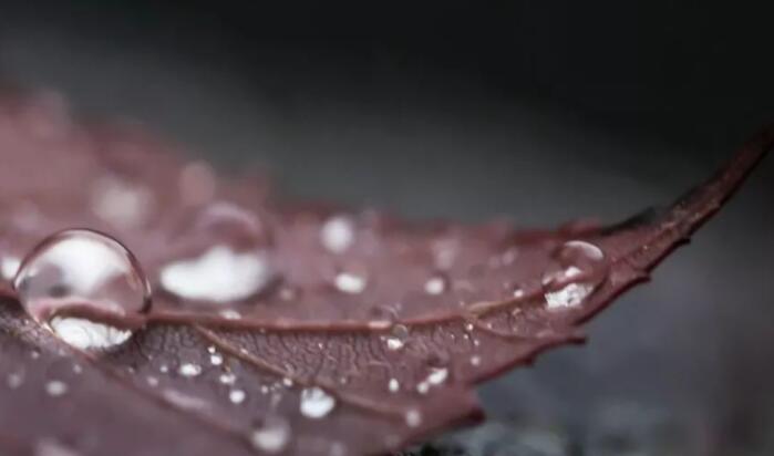 好句文案20字左右优美100句