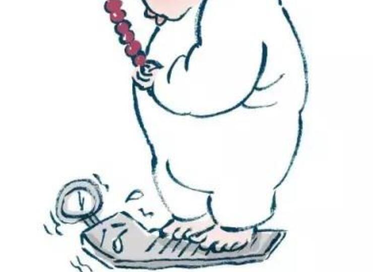 关于胖子的精辟句子文案