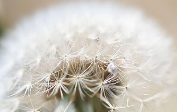 励志语录文案经典词语