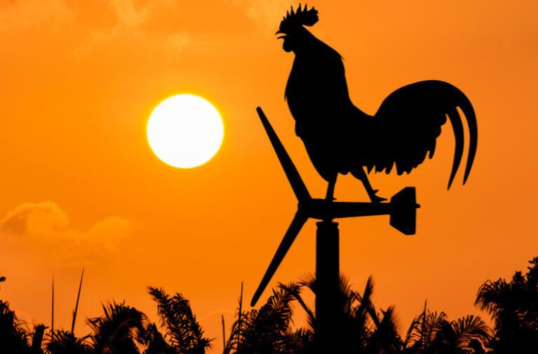 女王范超拽签名