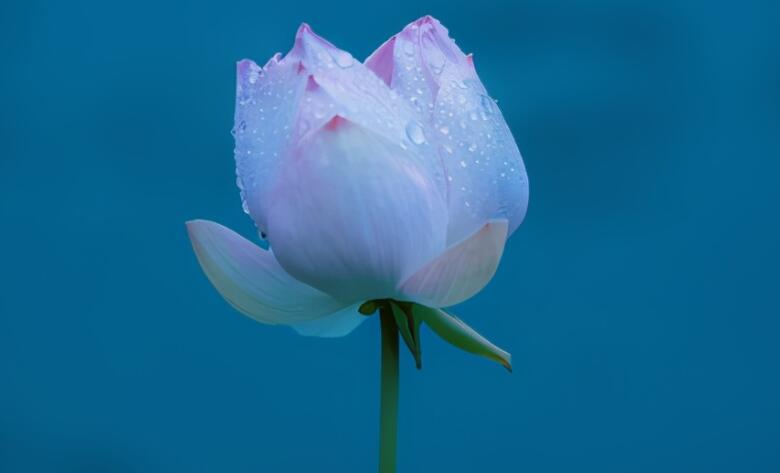 关于伟人的诗句文案