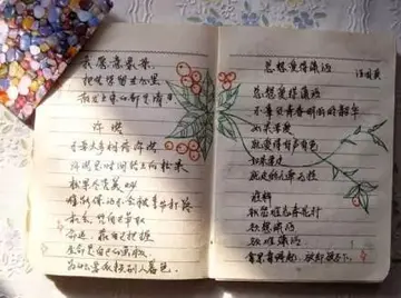 摘抄青春优美段落30字