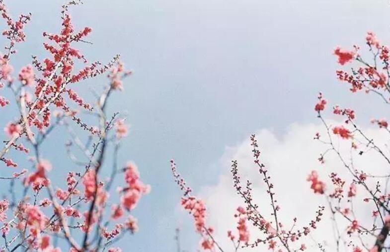 语录文案大全情感抖音短句