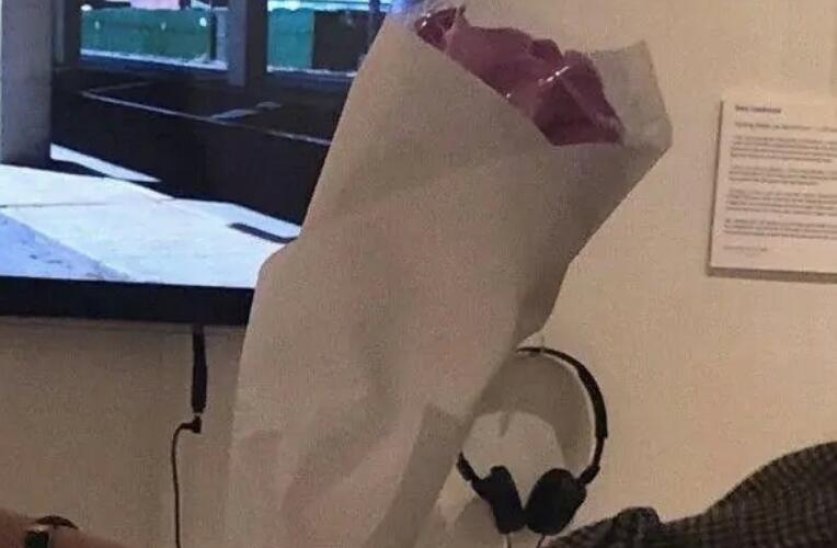 惊艳了时光优美句子文案