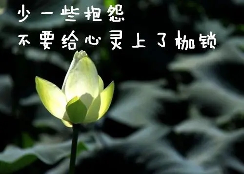 不要抱怨不要抱怨经典语录文案