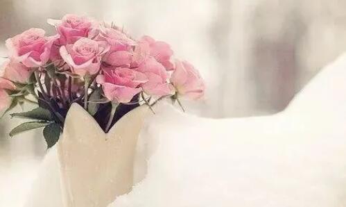 早安心语健康简单一句话