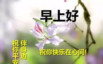 朋友早上好问候语温馨图片