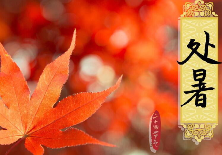 与处暑有关的诗古诗