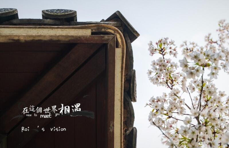 课外笔记摘抄好词好句文案大全