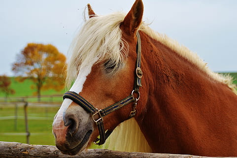 夫妻相处经典名言