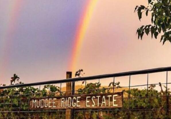 短句子文案励志