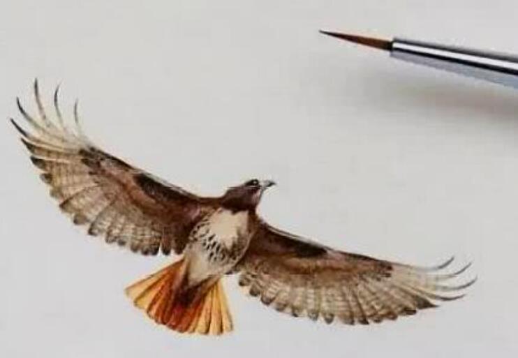 冷暖的句子文案