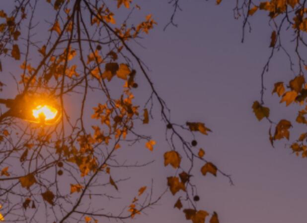 幽默正能量励志的句子文案