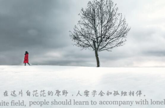 好有感觉的一句话