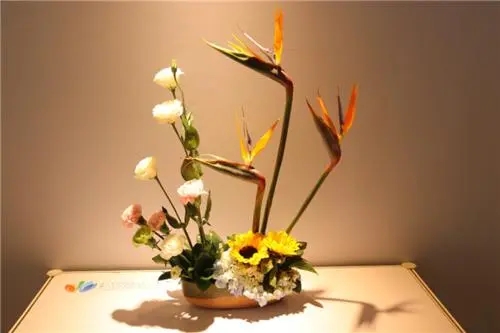 赞美花艺师手艺的句子文案