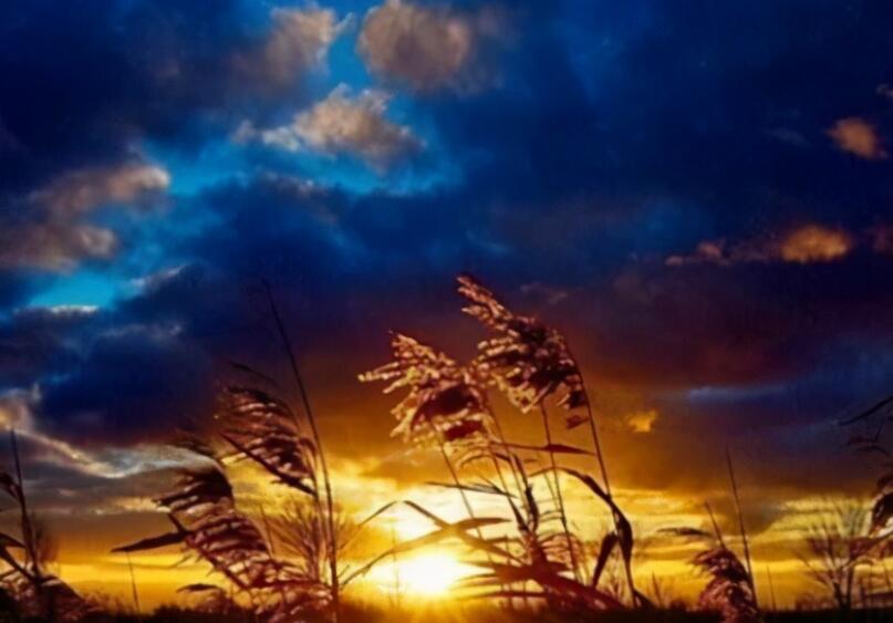 适合静心的文案