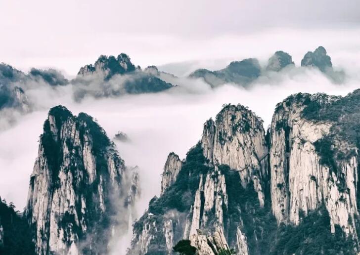 做事讲原则的名言