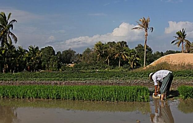 描写春天田间劳作的诗句文案