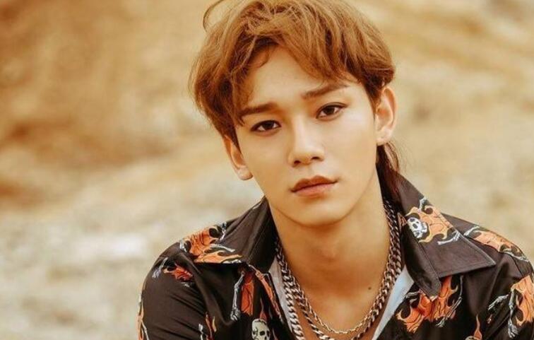 粉丝写给偶像的一句话