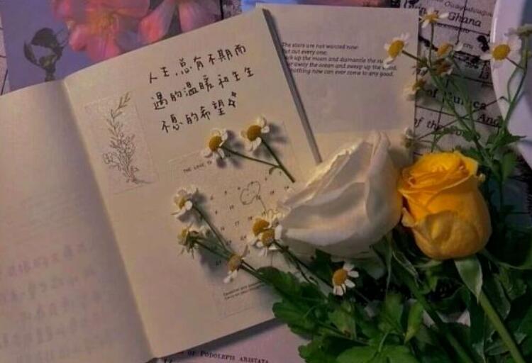 写进作文里的神仙句子文案短句