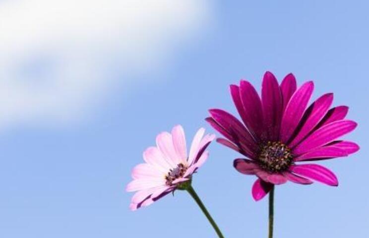 回复早安撩人的情话文案