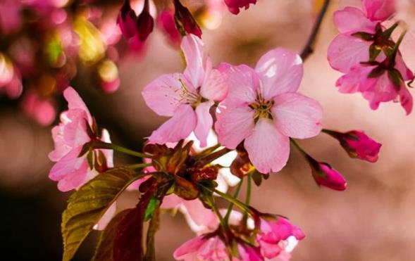 早晨激励正能量句子文案