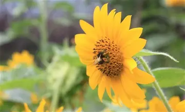 致自己多管闲事的说说文案
