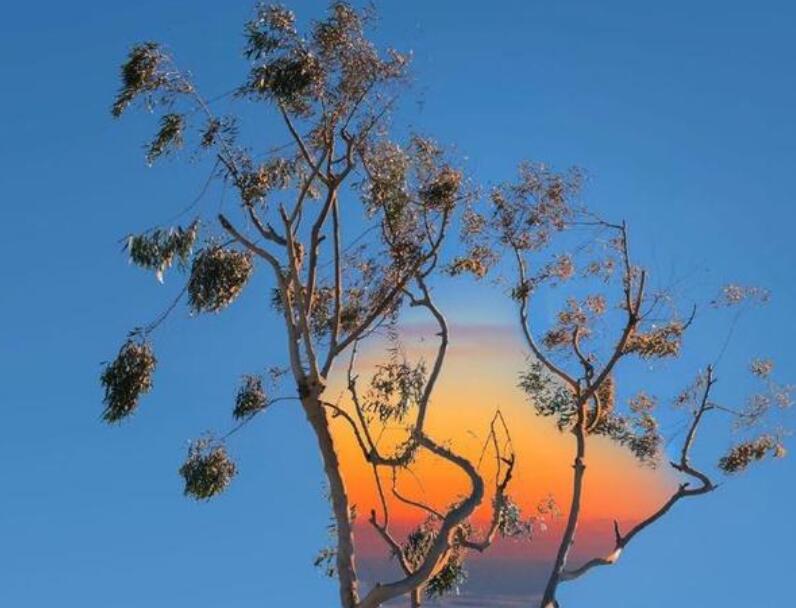 心里有阳光的句子文案说说心情短语