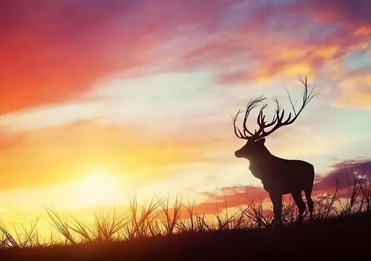 外出奋斗的句子文案