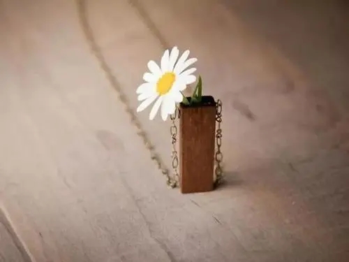 鼓励朋友的暖心句子文案