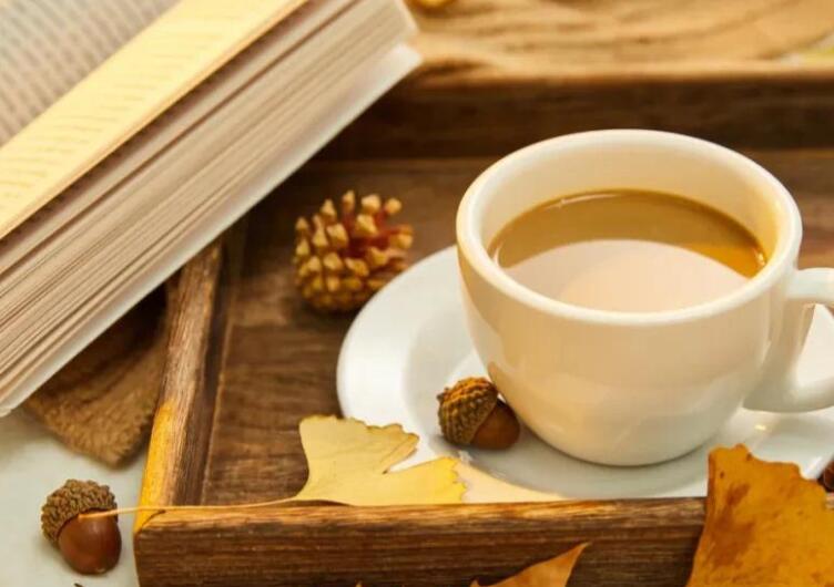 添衣保暖的句子文案