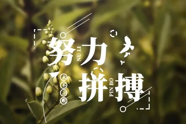 关于努力的名人名言