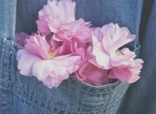 英文语录文案短句带翻译