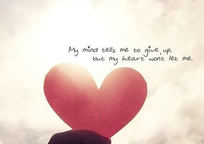 低调表达爱意的句子文案