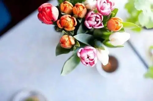 对人生诠释最好的一句话