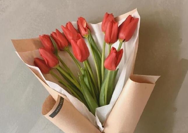 情感语录文案简单文字