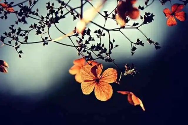 人生十大名句文案