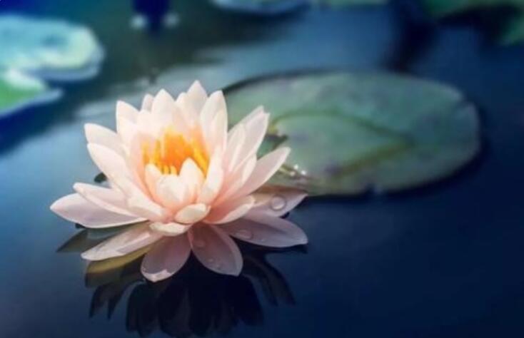 最短的哲理短句