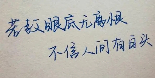 能表达心情惆怅的无奈的句子文案