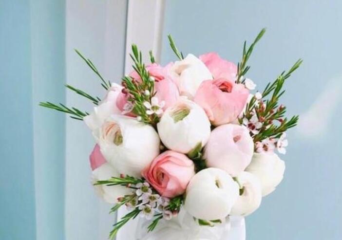 关于元旦的摘抄内容